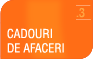 cadouri de afaceri